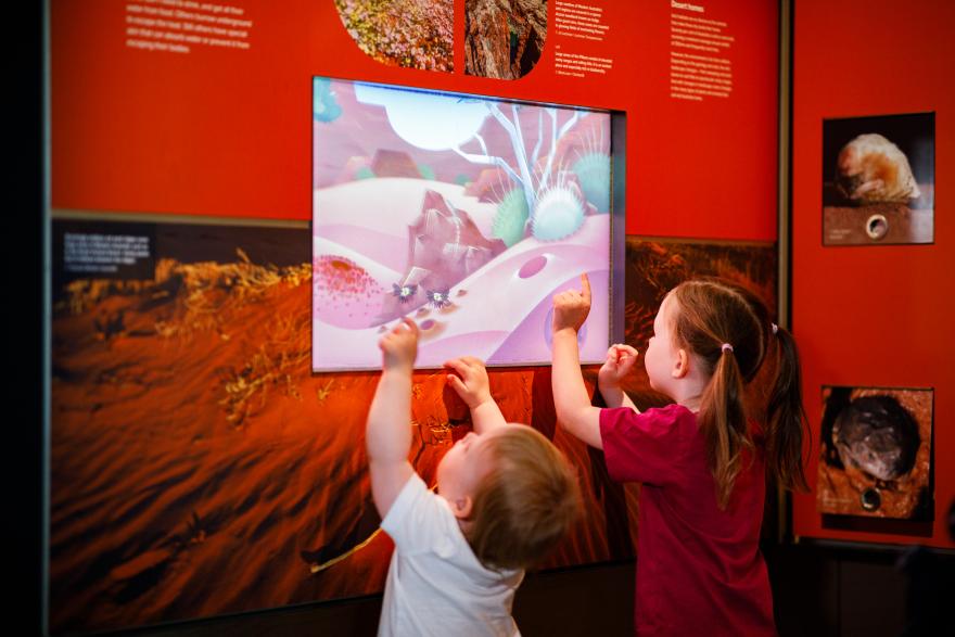 Two children engage with an interactive desert exhibit at a museum.