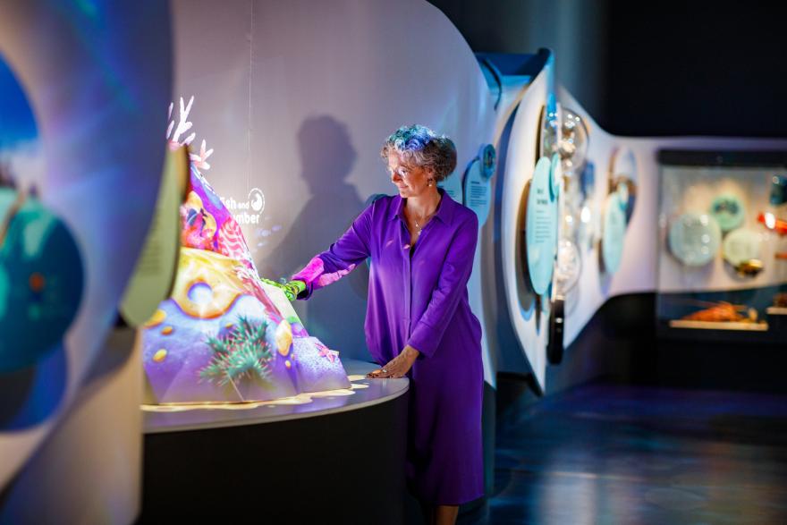 Woman in a purple dress interacts with a colorful marine life exhibit in a softly lit exhibition space.