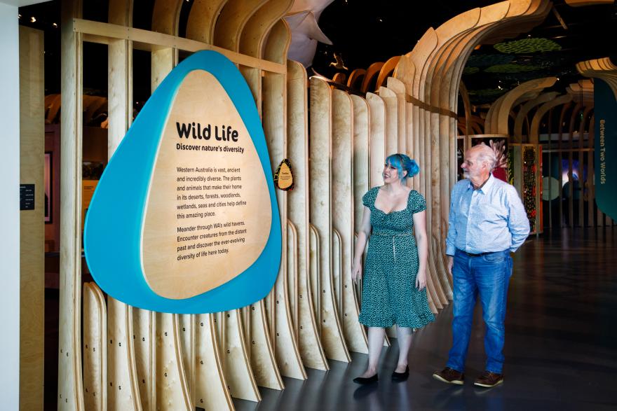 Museum visitors view a "Wild Life: Discover nature’s diversity" display against a wooden wave-like panel background.