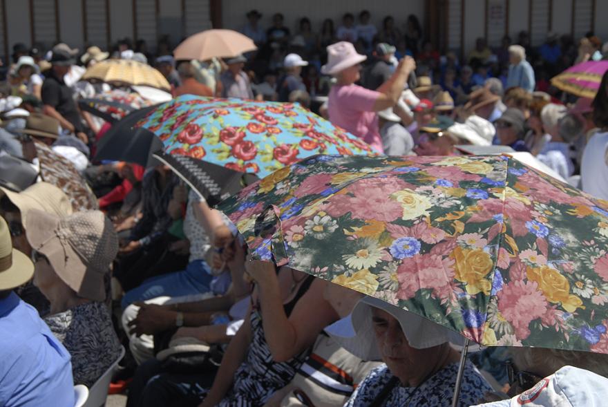 A crowd of people sitting in ordered rows with several people holding colourful umbrellas with florals prints