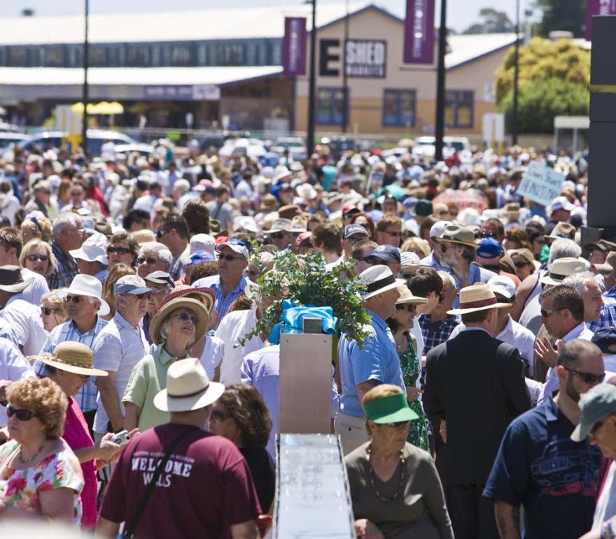A large crowd of people fill a wide open space on a sunny day.