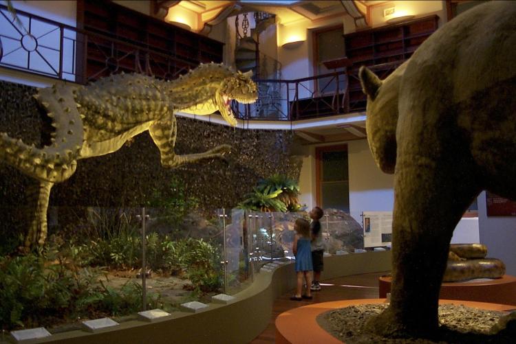 Museum exhibit with life-sized dinosaur models, children observing.