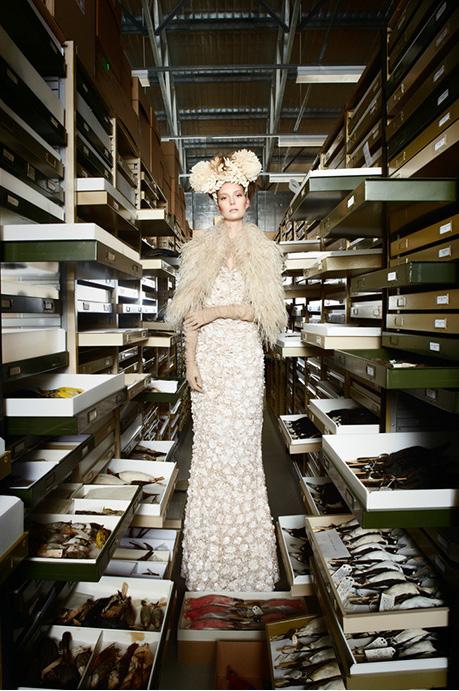 Fashion model in an ornate dress and headpiece stands among specimen boxes on shelves in a storage area.