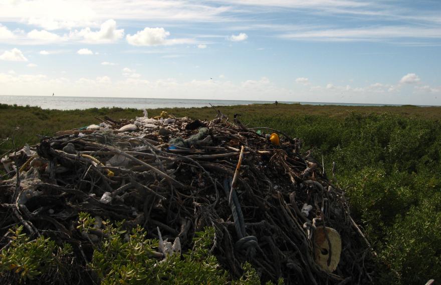 A large nest constructed with driftwood, rope and other washed up debris