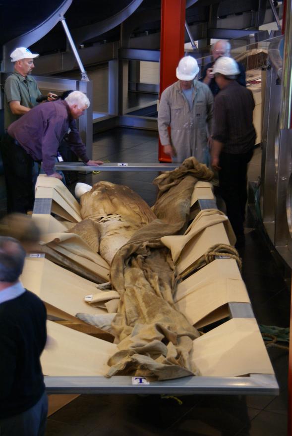 People inspecting a megamouth shark before its put into its new display tank