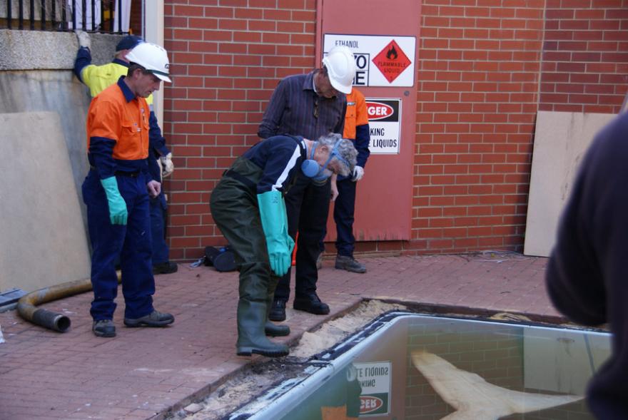 People inspecting Megamouth in its old tank on Museum grounds