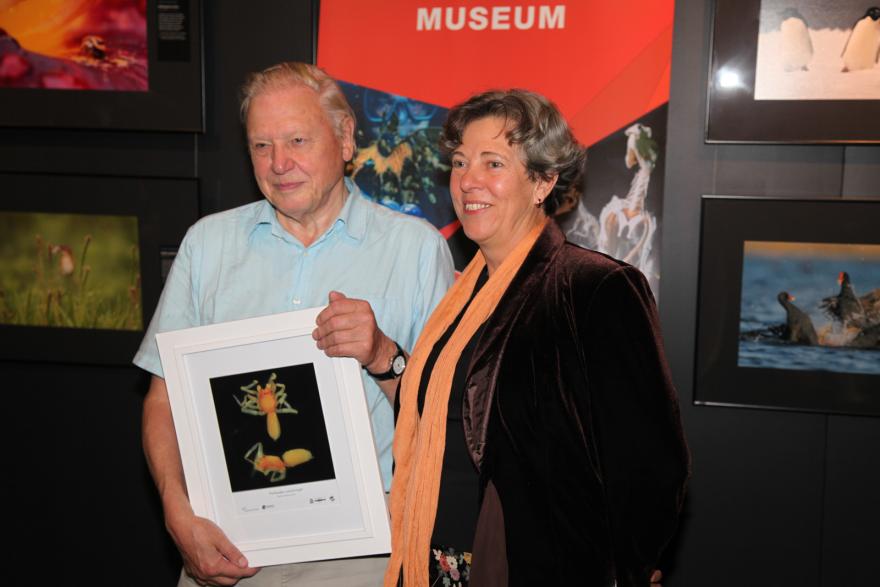 Two people stand holding a framed photograph of a spider, with a museum display and wildlife photos in the background.