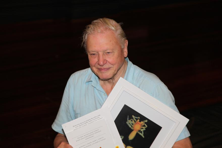 A person holding a framed picture of an arachnid and a document.