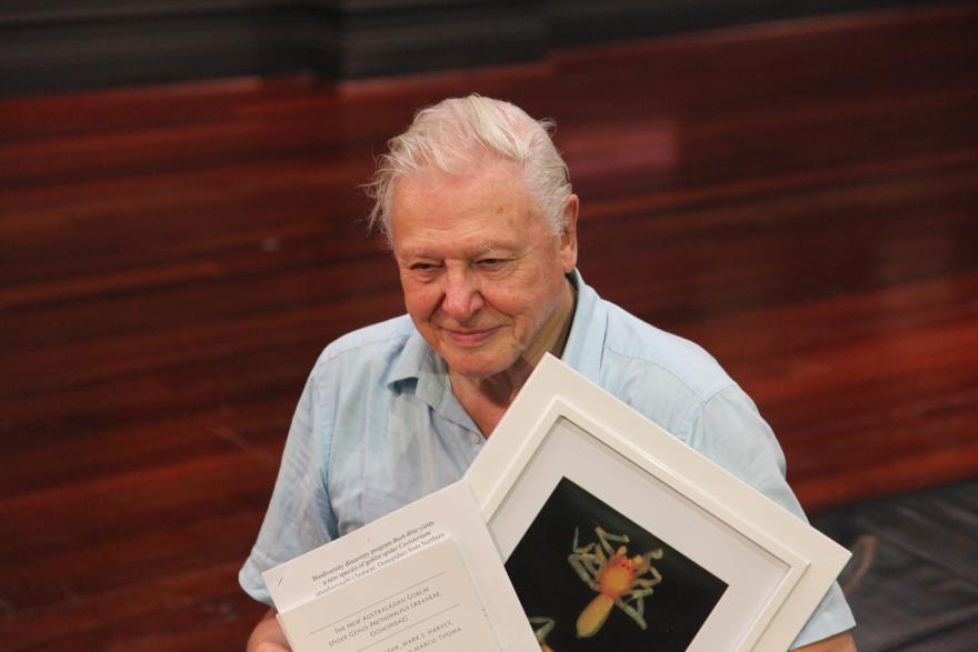 A person holding a framed picture of an arachnid and a document.