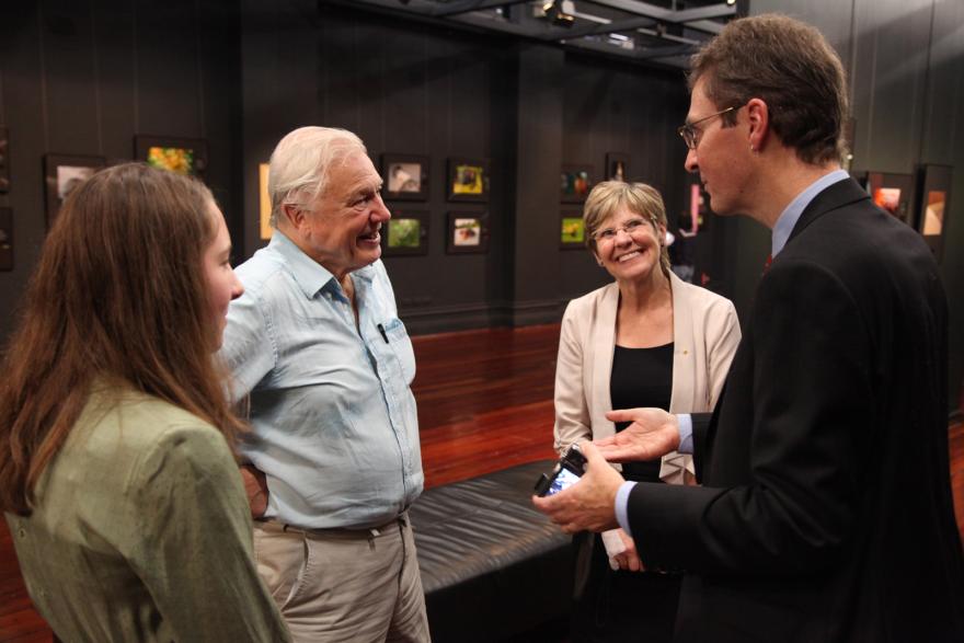 Four people engaged in conversation in a dimly lit gallery.