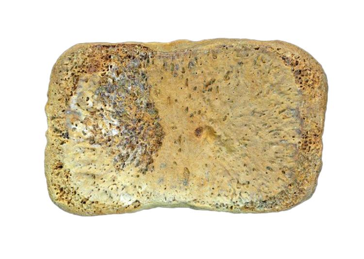 Ichthyosaur digit bone, Murchison House Station (27x17x13 mm - shape of a miniature brick)