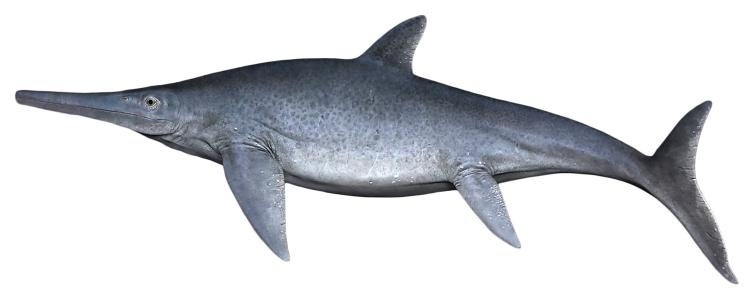 Model of icthyosaur