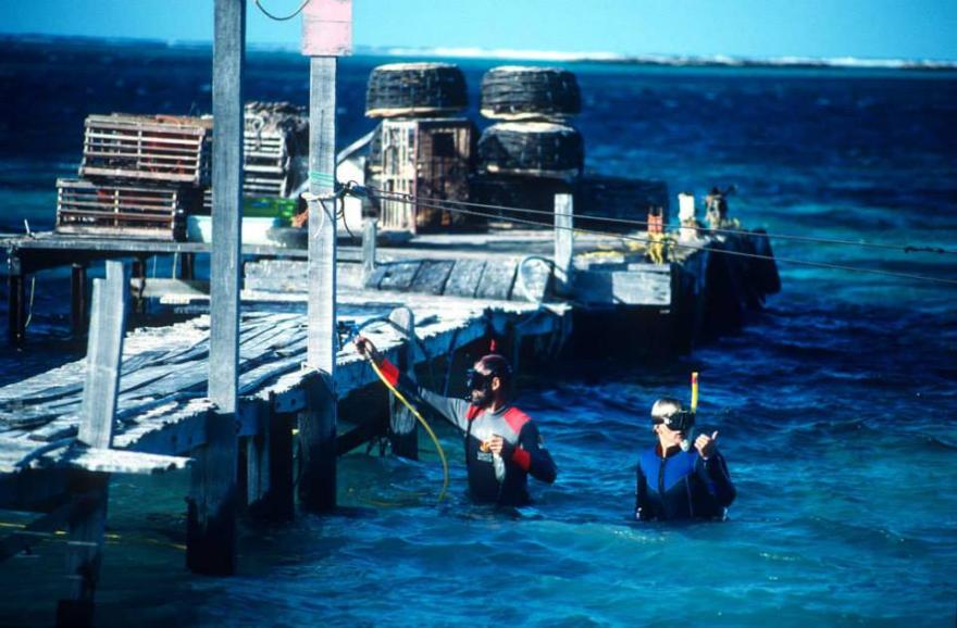 Two snorkelers near a wooden pier with fishing baskets in the background.