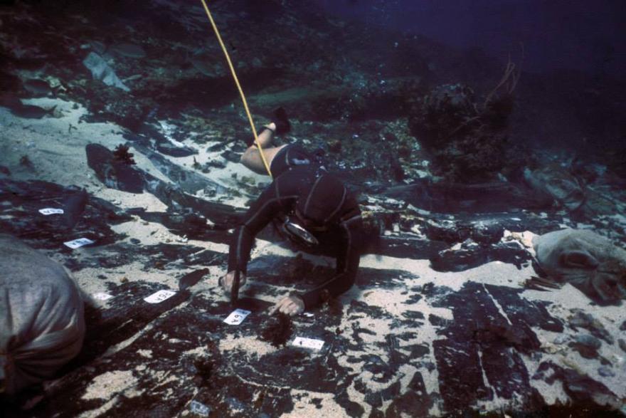Scuba diver examines a shipwreck underwater with numbered tags visible.