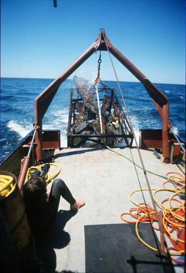 Person on a boat deck with suspended equipment and open sea in the background.