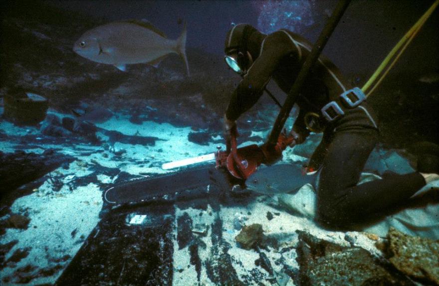 Diver operating a tool underwater with a large fish nearby.