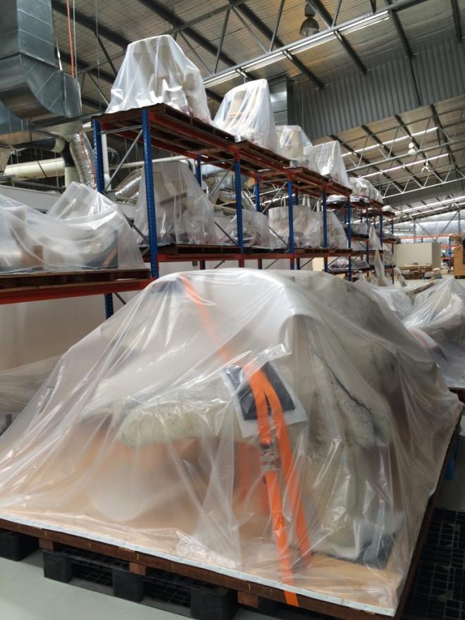 Warehouse with shelving units holding plastic-covered whale bones secured with orange straps.
