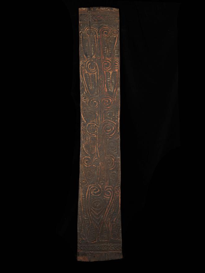 A finely carved, black Iwam war shield from the lower May River area, East Sepik Province. Concentric circles supposedly represent human skulls. Front View.