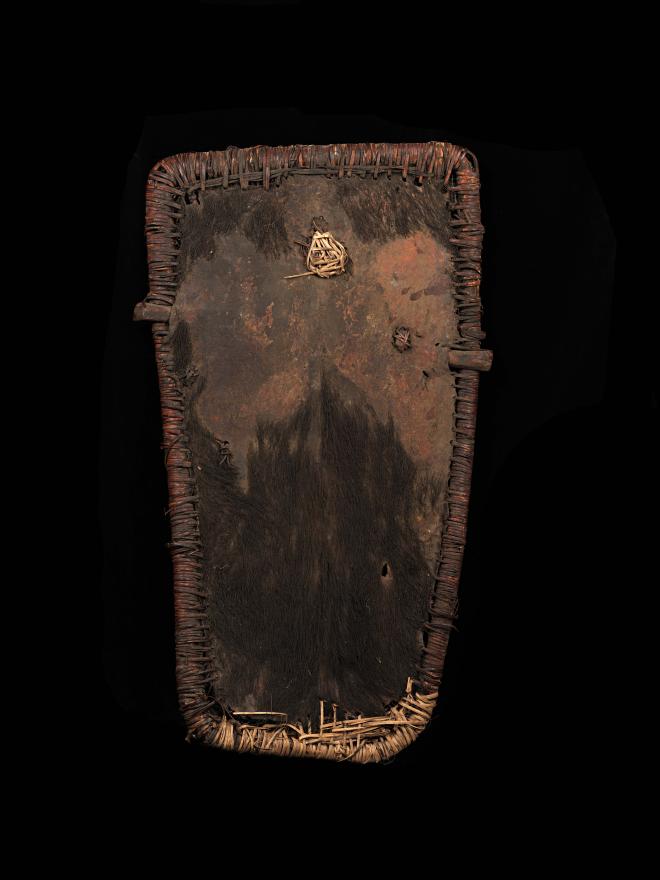 A Pig skin shield with a rattan Framework. Supposedly used by the younger initiate men. Front View.
