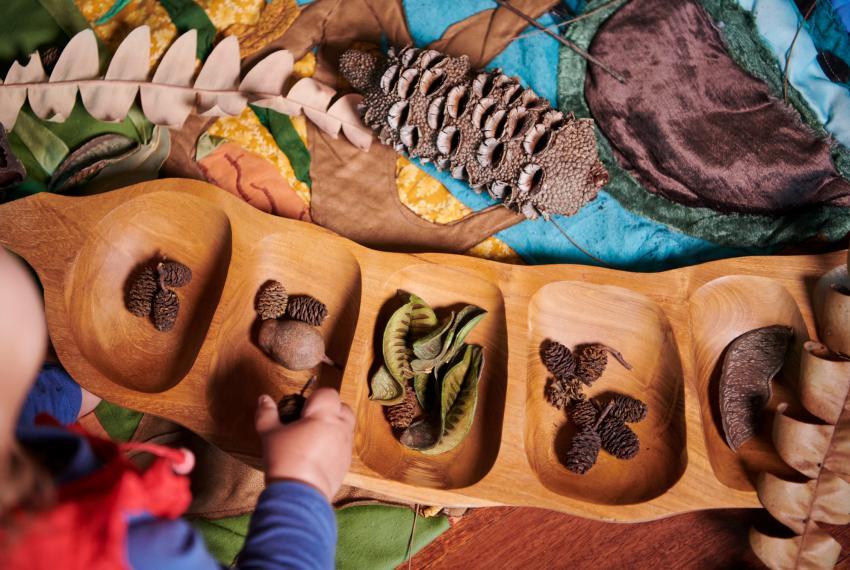 Aerial photograph of a young child engaging with objects in a wooden touch box. Objects include Australian plants, nuts and leaves.
