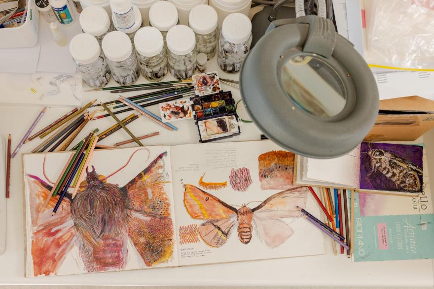 A table filled with sketchbooks, sketches of moths in intricate detail, pencils, paints and specimen jars