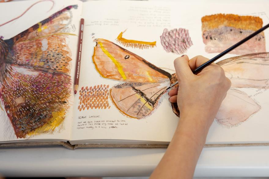A hand delicately painting a moth wing