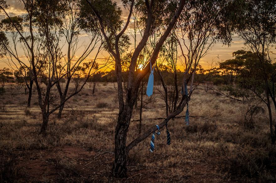 A necktie hanging from a tree