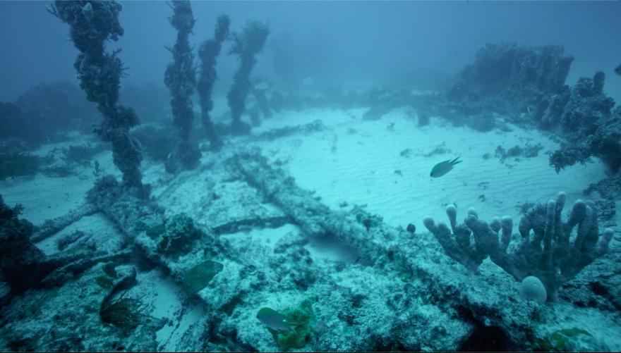 Deck posts and cargo of an underwater shipwreck, covered in sea life