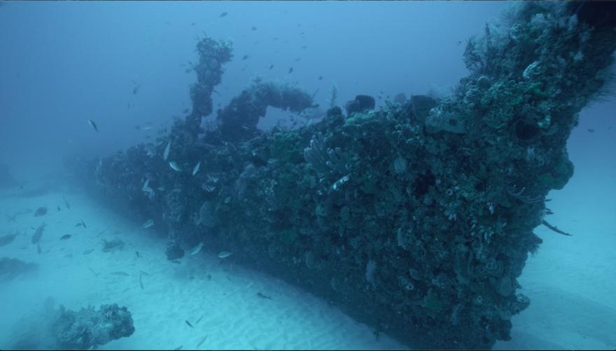 The wreck of the Langstone underwater, covered in sea life