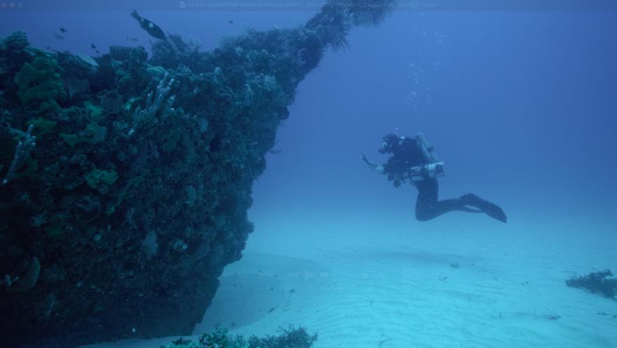 A diver exploring an underwater shipwreck