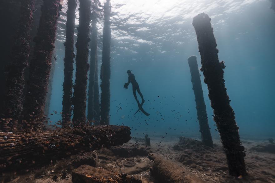 A diver exploring an underwater