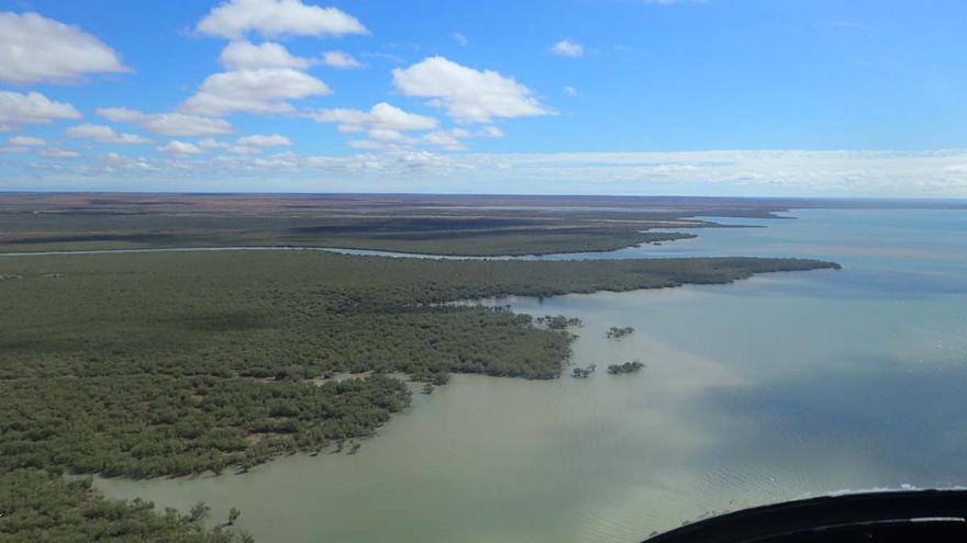Aerial view of the Exmouth Mangroves, which shows green vegetation bordering a large body of water under a partly cloudy sky.