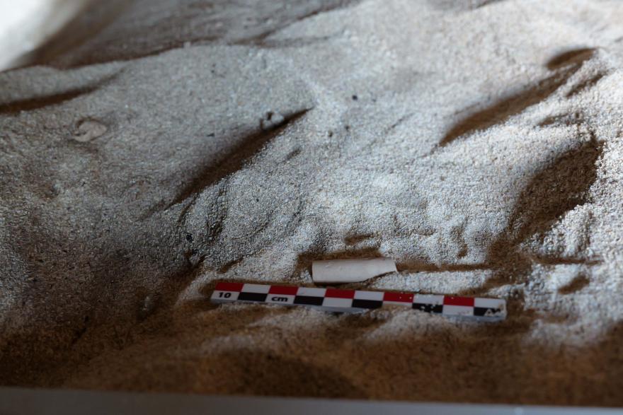 Fragments of clay pipe stem partially buried in sand next to a black-and-red measuring scale marked in centimetres.