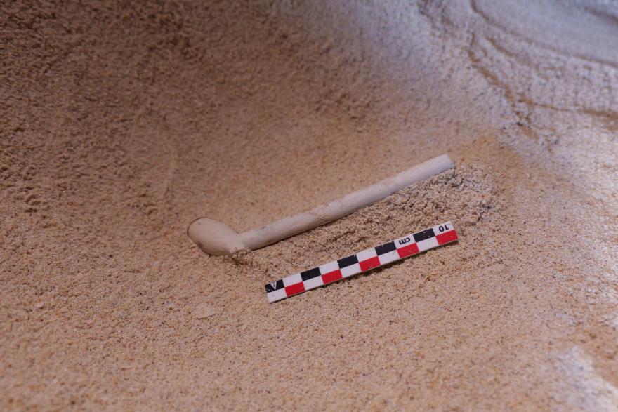 A long, pale clay pipe partially buried in sand next to a black-and-red measuring scale marked in centimetres.