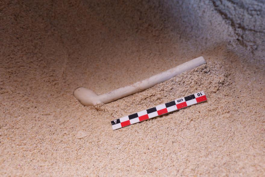 A long, pale clay pipe partially buried in sand next to a black-and-red measuring scale marked in centimetres.