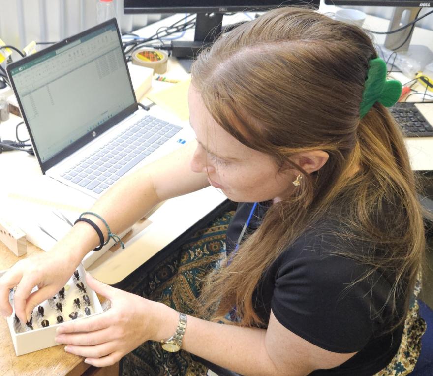 Intern Laura Sujecki registering specimens 