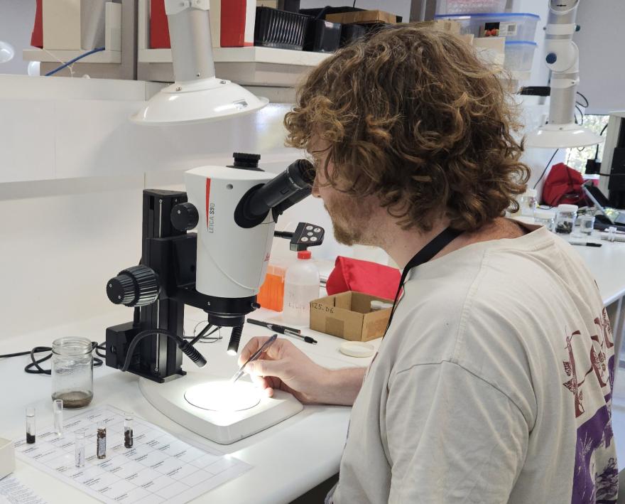 Project Officer Tom Ferguson in the WA Museum lab 