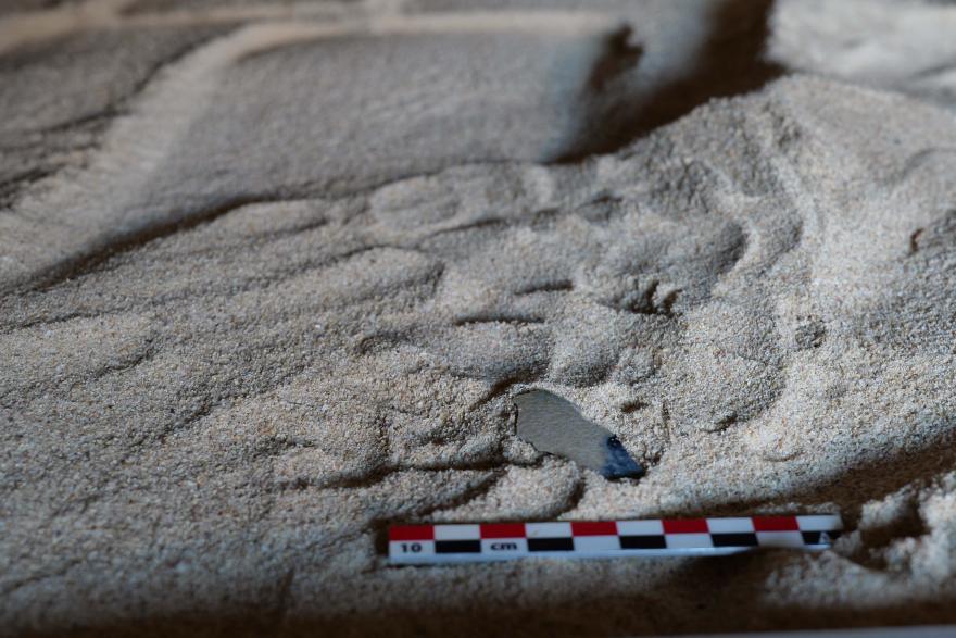 Rhenish pottery sherd in situ