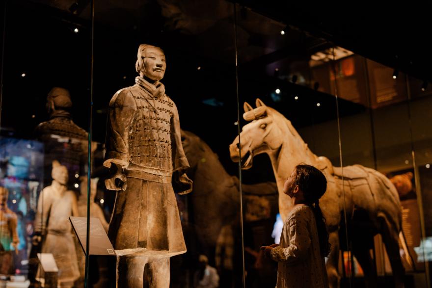 A young girl gazes up at a large Terracotta Warrior on display amongst other terracotta figures in a Museum gallery