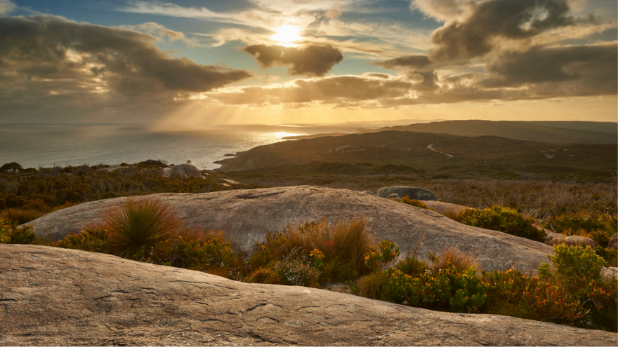 Torndirrup. 'Stoney Rise' Albany 