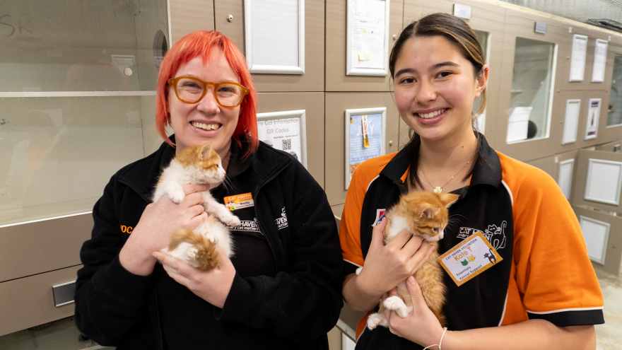 Two volunteers hold ginger-and-white kittens inside an animal shelter, standing in front of a row of cat enclosures.