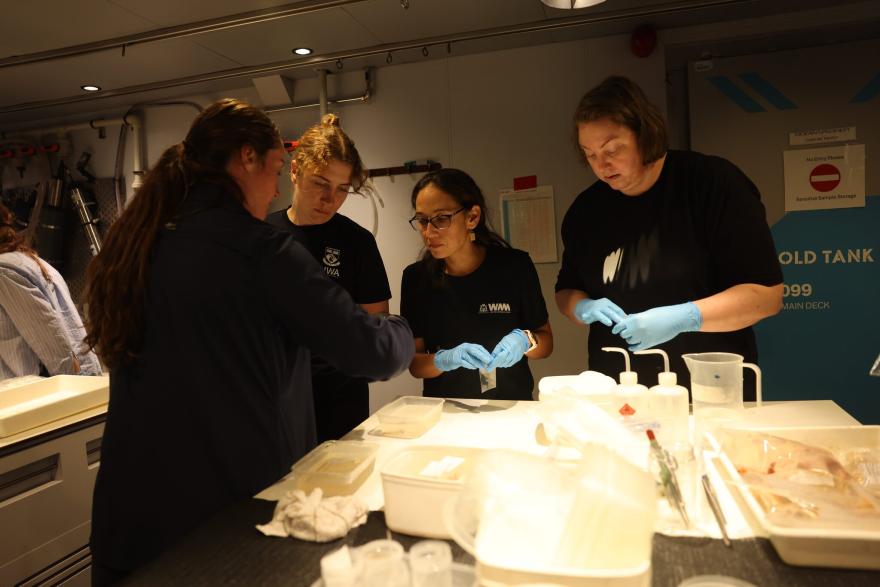 A group of scientists looking at specimens