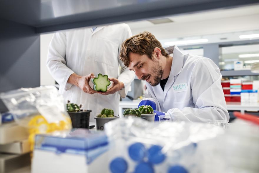 A man looking at plants in a science lab
