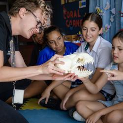 A person with short curly blonde hair and black glasses wears a black Museum uniform and smiles as they hold a white skull model up for school children to look at. The children sit cross legged and touch and point to the skull as though with interest