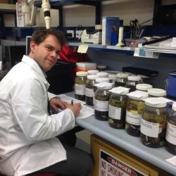 A person wearing a white coat sitting at a desk in a science lab filling out paperwork. Several large jars filled with various specimens also sit on the desktop. 