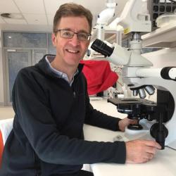 A person with short hair wearing glasses and a dark jumper sits in a science laboratory, next to a microscope.