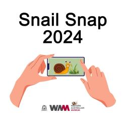 Animated image of two hands holding a mobile phone to take a picture of a snail