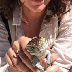 A close up image of a person holding a lizard