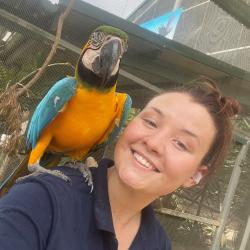 A person with brown hair and a navy blue work shirt takes a selfie with a large blue and yellow macaw bird on her shoulder.