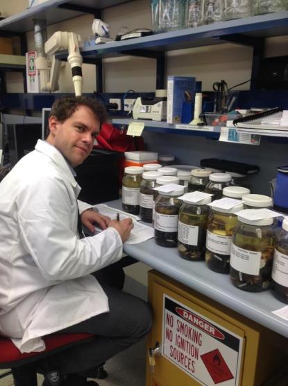 A person wearing a white coat sitting at a desk in a science lab filling out paperwork. Several large jars filled with various specimens also sit on the desktop. 